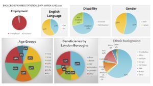 Bosnia and Herzegovina Counseling Center (BHCAC) - Results of work during the coronavirus pandemic BHCACs 3 300x169
