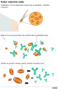 Coronavirus and vaccines: The first vaccine they claim is effective and can protect 90% of people Vakcina Slika 197x300
