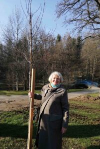 Happy New Year - new trees planted in Sarajevo - 15 in total - half of the Alphabet! Pion3 201x300